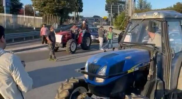 Avellino, protesta degli agricoltori con i trattori contro il caro carburante: &laquo;Rischiamo di fermare i lavori&raquo;