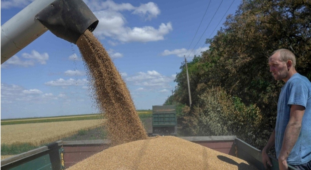 Grano, prezzi record per gli attacchi russi in Ucraina. Quanto possono aumentare pane e pasta. L'allarme di Kallas: &laquo;Tempesta perfetta&raquo;