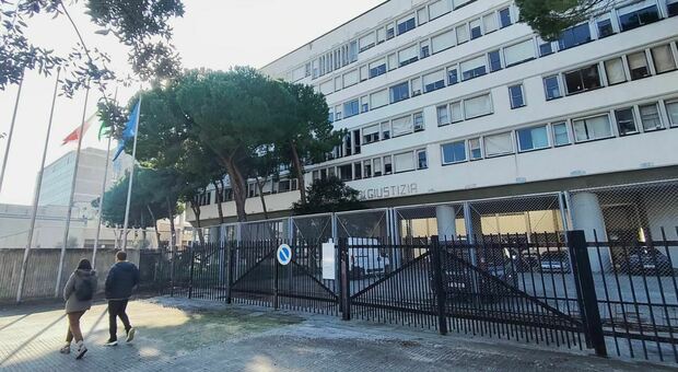 Gatti uccisi e torturati, citazione a giudizio per un medico