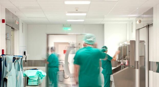 Virus Shamonda, primo caso in Francia: morto un paziente. Cos'&egrave;, i sintomi e come si trasmette