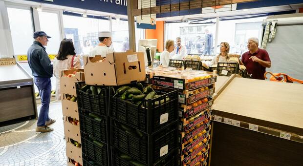 Distributori ancora al palo, cantieri elettrici a rischio ma primi arrivi nei market 
