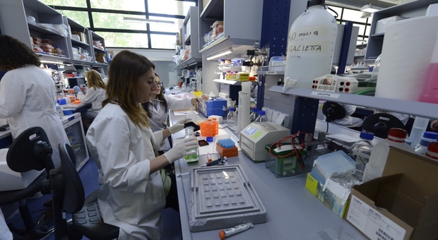  Ricerca scientifica, varianti genetiche focus del ?Tigem? sul Dna: «Così lavoriamo con l?intelligenza artificiale» 