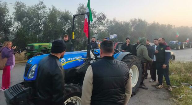 La rivolta dei camion, conto salato per i blocchi: &laquo;Perdite per 30 milioni&raquo;