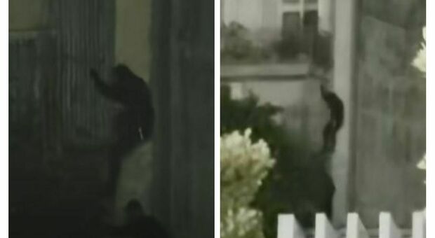  Vestiti di nero, con il volto coperto scendono da un balcone: le immagini sui social: allarme ladri a Casoria 