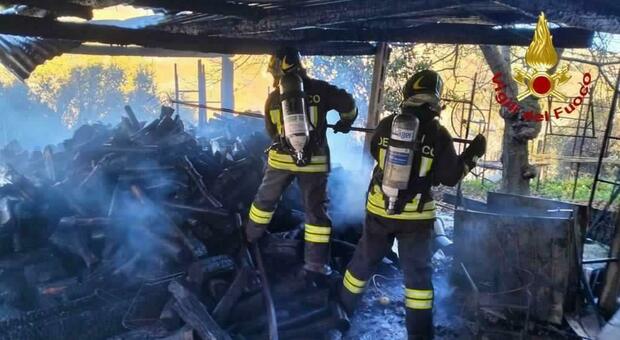 Incendio ad Appignano, in fiamme un capanno con 60 quintali di legna. Vigili in azione per proteggere la vicina abitazione
