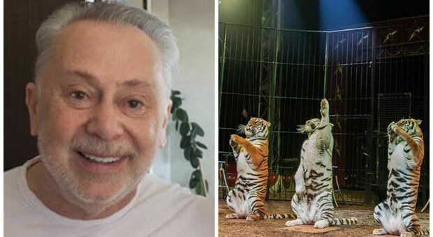 Lele Mora in gabbia con le tigri: la nuova vita dell'ex agente dei vip