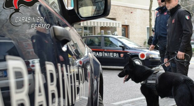 Lotta allo spaccio: un arrestato, due segnalati come consumatori e tanti giovani identificati dai carabinieri di Fermo