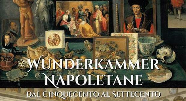 Quando Napoli fu una stanza delle meraviglie: le «Wunderkammer napoletane» raccontate da Attanasio