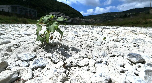 Emergenza cambiamenti climatici: «Agricoltura e turismo a rischio in Puglia»