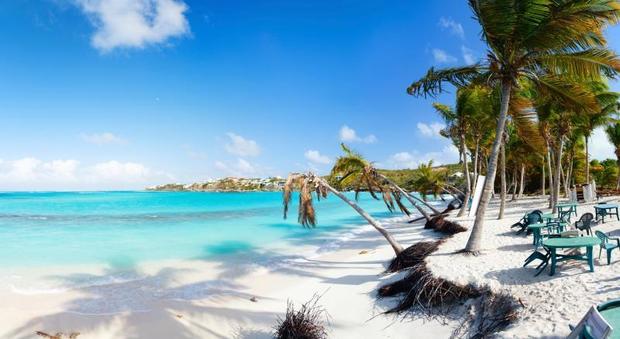 L'azienda (italiana) porta in vacanza i dipendenti: "Tutti ai Caraibi una settimana"