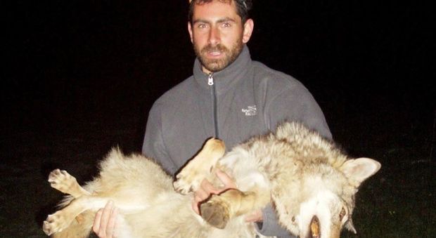Davide Pagliaroli, studioso del lupo
