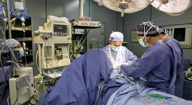 Operato all'anca, i medici: «Intervento riuscito». Ma il paziente muore dopo tre giorni
