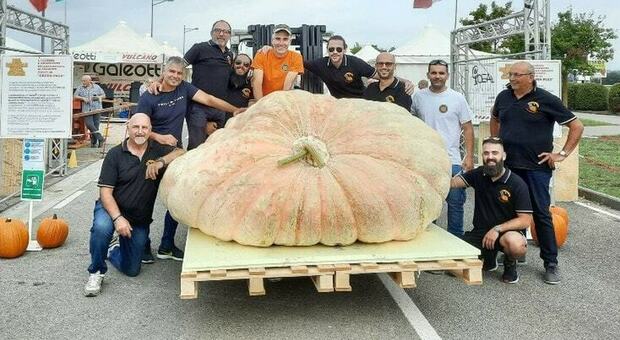 La zucca più grande del mondo è in Italia: pesa 1.226 kg, è record