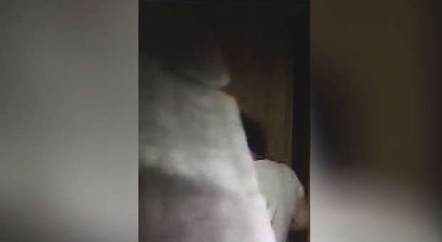 Un frame del video della telecamera nascosta, che riprende la badante mentre rovista nell'armadio