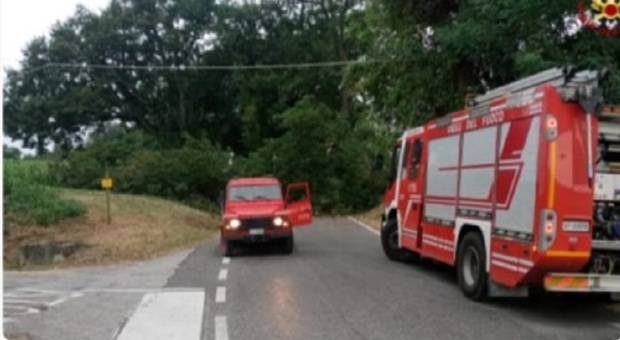 Ostra, albero sulla strada: intervengono i pompieri per la rimozione immediata
