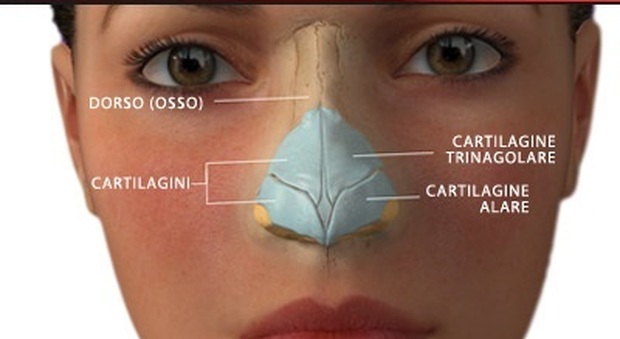 Palpebre e naso: ecco le nuove frontiere della chirurgia plastica