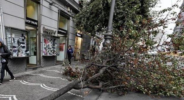 Napoli, cade albero su un 21enne: morto sul colpo