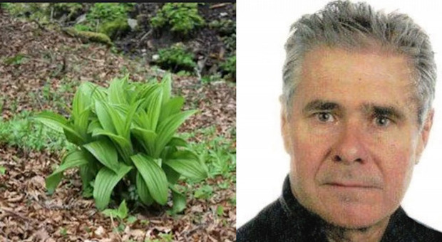 Raccoglie i fiori di finto zafferano e li mangia nella pasta: ex bidello morto avvelenato a 62 anni