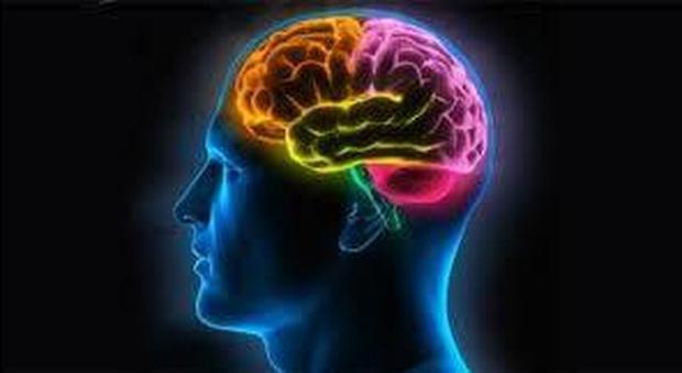 Nevrotici o altruisti: ogni personalità ha una diversa forma del cervello