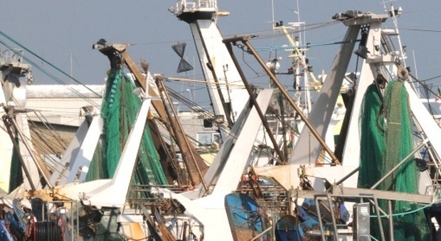 La guerra sui confini di pesca delle vongolare rimane in sospeso: altri 6 mesi di proroga