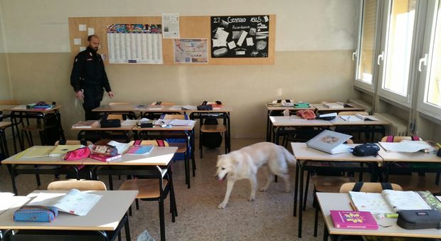 Il cane labrador Falco insieme a un carabiniere controlla un'aula