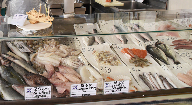 Stop fermo pesca, i prezzi rimangono alti: sul mercato pesa l aumento dei costi