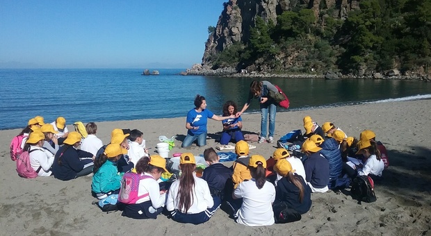 Ecco i Delfini guardiani, a Capri e Ischia progetto didattico per gli studenti