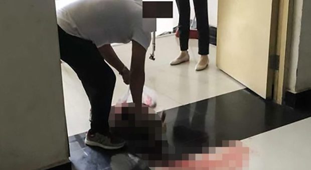 Cucciolo di cane si rifugia nel dormitorio dell'università, la security lo uccide a bastonate (Asia Wire)