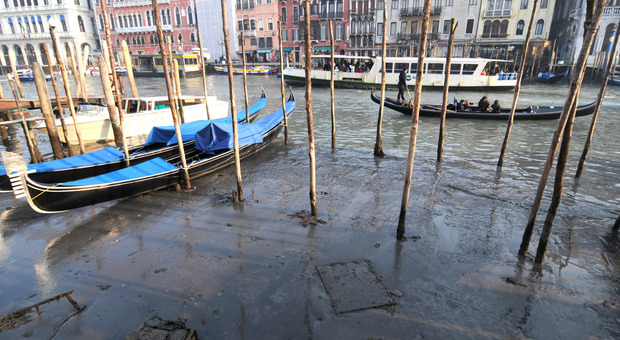 A Venezia arriva l'acqua bassa: marea a - 50 centimetri. Cosa è e cosa succede in città