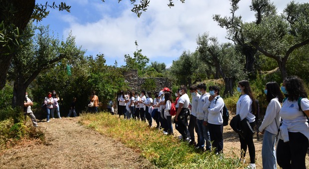 A lezione di paesaggio con L’Oro di Capri, consegnato un kit agli alunni del Gemito