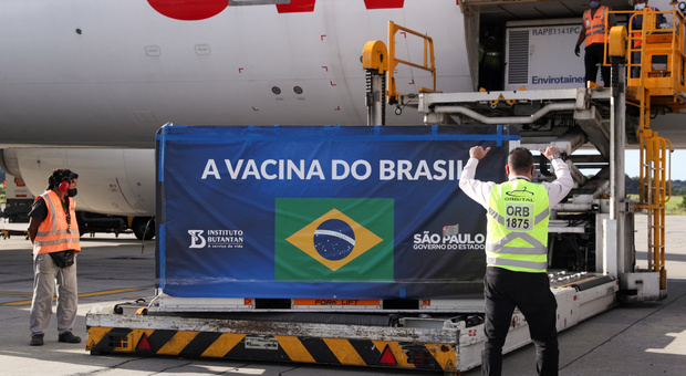 Brasile, oltre 2 milioni di vaccini in un solo giorno: è record. Allo studio ben 19 varianti