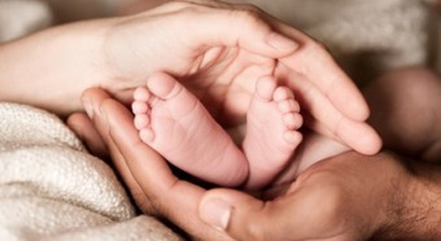 I cromosomi di mamma e papà «separati in casa» nell'embrione