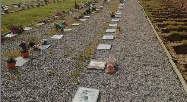 Milano, il cimitero degli animali diventa anche virtuale: «Un posto dove poter essere ricordati»