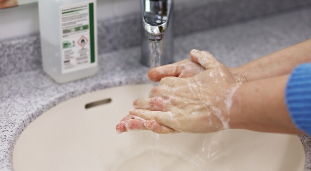 Giornata mondiale dell'igiene delle mani: chi ha inventato il gesto e come lavarsi correttamente. Le iniziative a Roma
