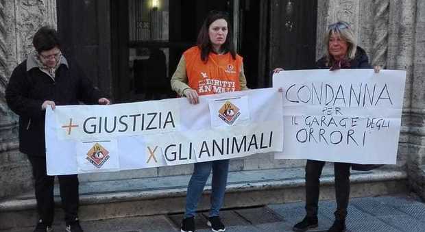 Volontarie della Lav Perugia all'esterno della Corte d'appello (foto facebook)