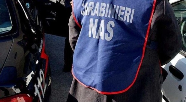 Pesaro, anziani maltrattati nell'ospizio dell'orrore: sequestri, arresti e denunce