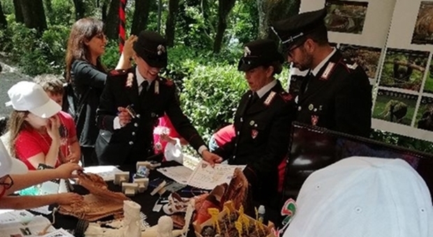 Umbria, il Nucleo Cites dell'Arma dei Carabinieri denuncia 4 commercianti per detenzione e vendita di coralli tutelati
