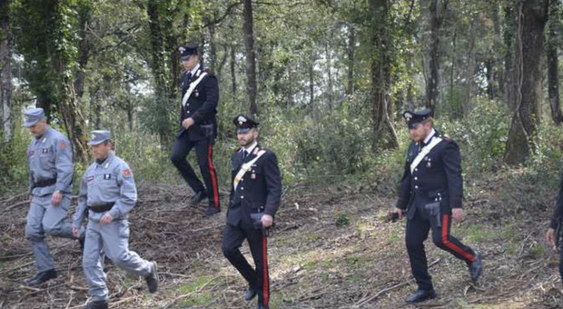 E' stato individuato il capo di un clan dedito allo spaccio nel bosco della droga a Lainate, Milano