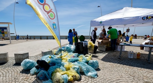 I sacchi raccolti alla fine della giornata di pulizia della spiaggia da parte dei volontari