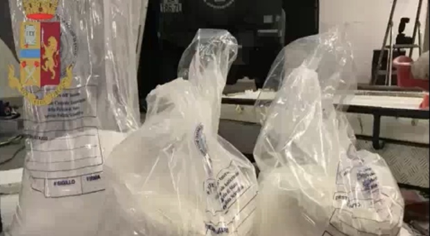 Cocaina proveniente dall' Argentina sequestrata dalla polizia a Nettuno