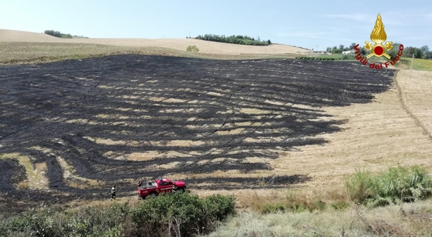Incendio di sterpaglie; due ettari e mezzo di campo divorati dalla fiamme