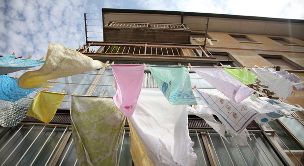 Case popolari a Treviso: cosa si è scoperto dopo i controlli