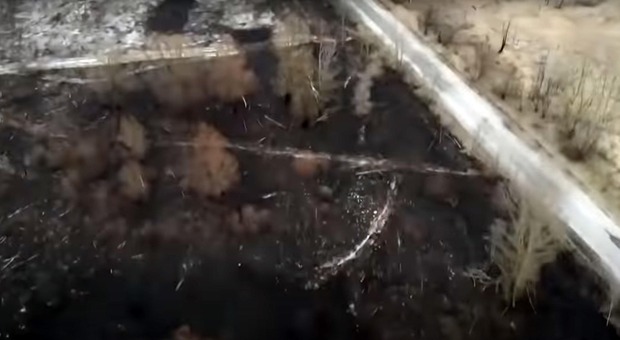 Russi a Chernobyl, spunta il video: i soldati scavano trincee nella Foresta Rossa