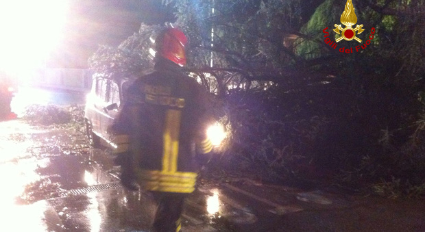 Ondata di maltempo nella nottata, alberi caduti: 54enne miracolato