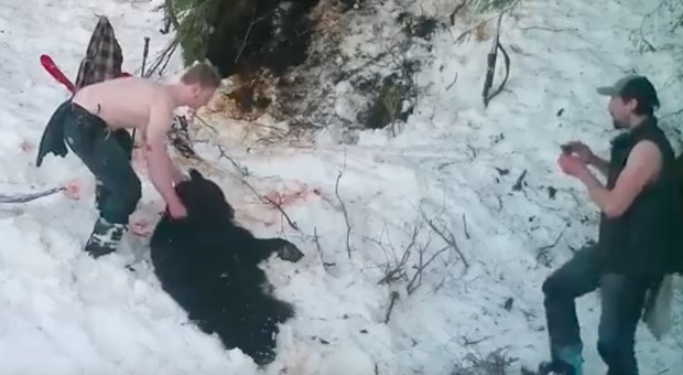Padre e figlio uccidono mamma orsa e i suoi cuccioli durante il letargo: il video choc