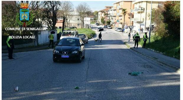Investita da un’auto a Senigallia, muore Valentina Renzi: la conducente indagata per omicidio stradale