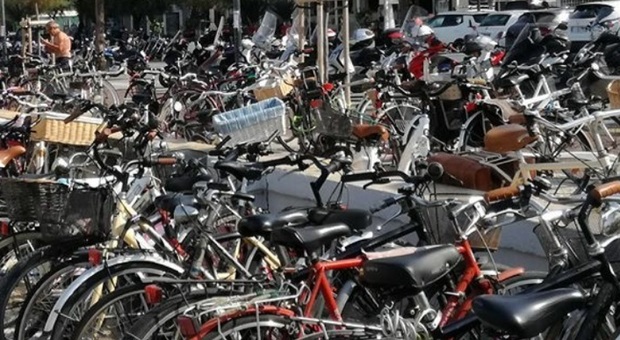 Pesaro, impennata dei furti di biciclette: ladri a caccia di quelle elettriche