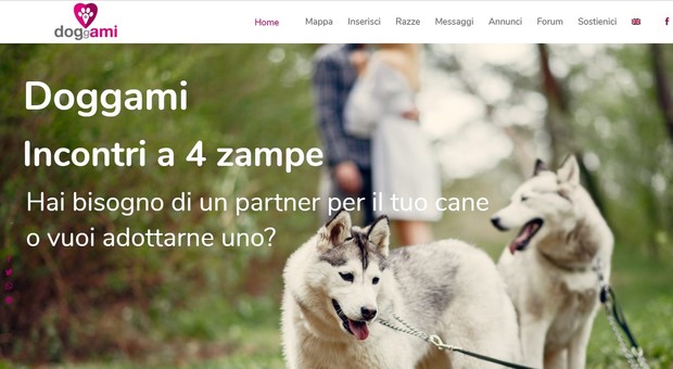 Doggami, molto più di un Tinder per cani: la community italiana per tutti i padroni