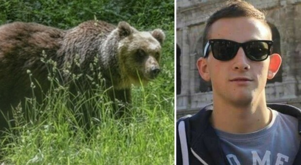 Andrea Papi ucciso dall'orsa JJ4, la toccante lettera del papà: «Sono passati 10 mesi e non sappiamo ancora nulla»