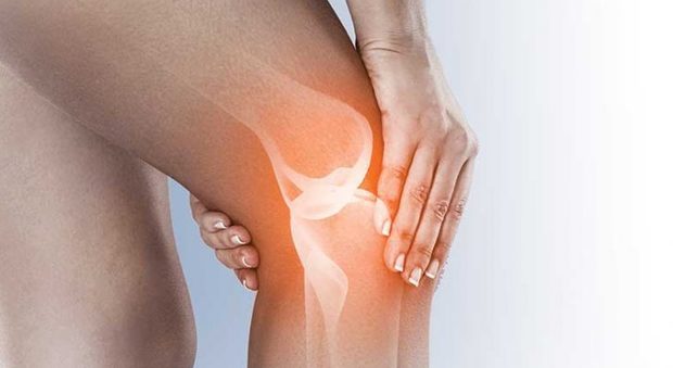 Artrosi del ginocchio, allo studio gel per rigenerare la cartilagine